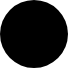Black Shield@2x